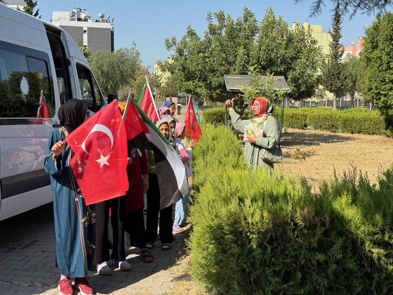 arac.jpg