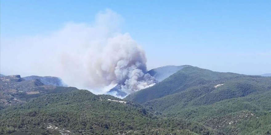 Muğla'da orman yangını