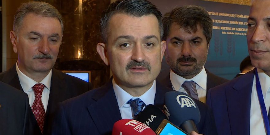 Bakan Pakdemirli: Sigarada standart paketin ana amacı caydırıcılığı artırmak