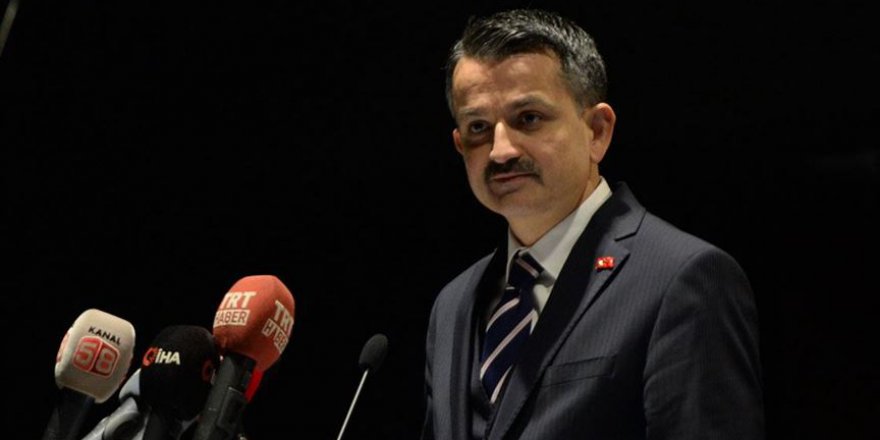 Pakdemirli: Balıkçılık filomuzun yüzde 78'ini destekleme kapsamına aldık