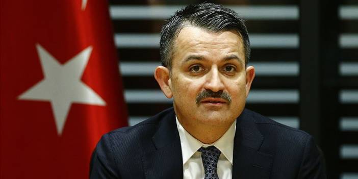 Pakdemirli: "Kovid-19 aşısı için anti serum çalışmaları başladı"