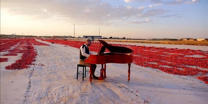 Müzik öğretmenleri, domates tarlasında keman ve piyano çalıp klip çekti