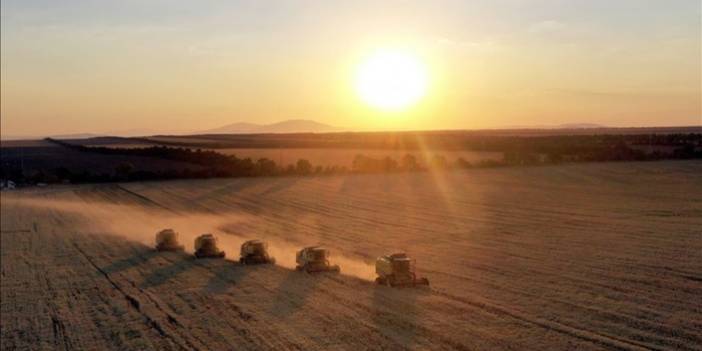 Çiftçilere 472 ton tohumluk dağıtılacak