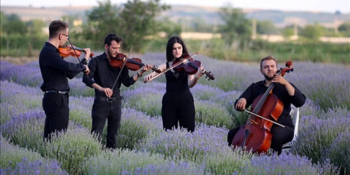 Edirne'nin "mor turizmi" Lavanta Tarla Günleri sembolik hasatla başladı