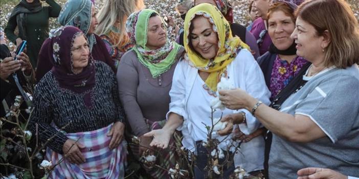 Türkan Şoray, adının verildiği pamuk çeşidinin hasadına katıldı