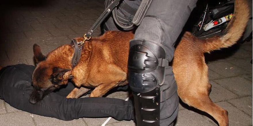 Hollanda polisi köpekleriyle Türklere Saldırdı..