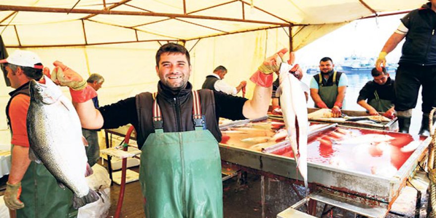 Tanesi 150 liradan satılan Perşembe somonuna yoğun ilgi